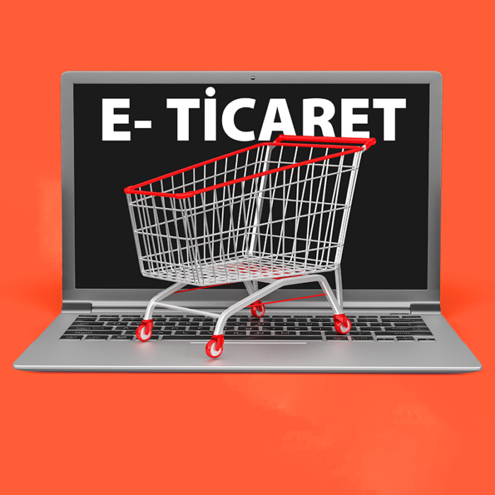 E-Ticaret