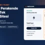 Elektrik Malzemeleri Toptan ve Perakende Satış: Tek E-Ticaret Sitesiyle İki Kanal